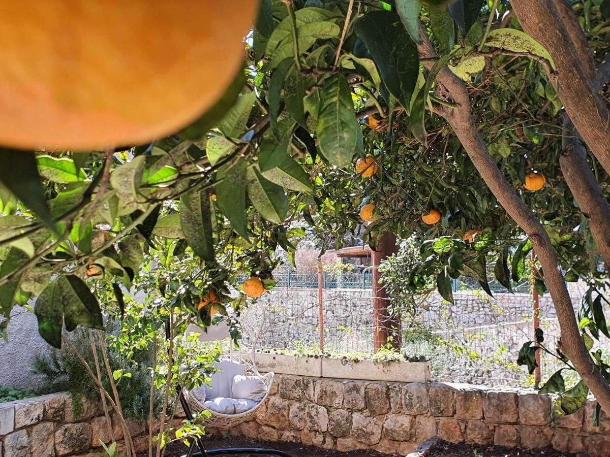 Barbara's Garden Dubrovnik